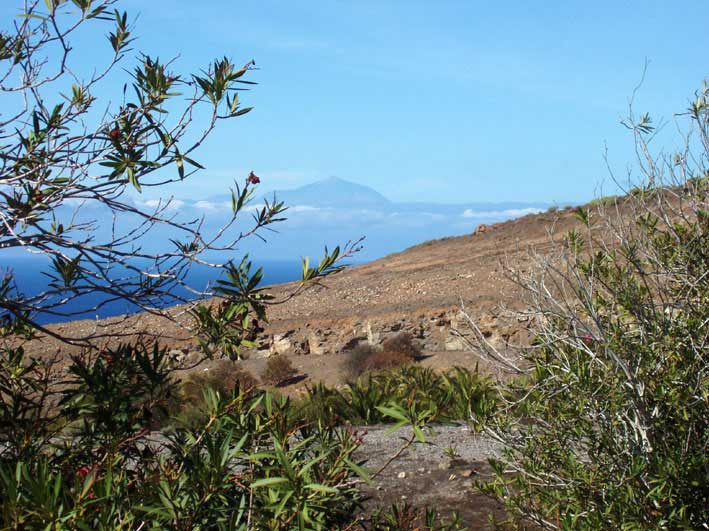 Teide