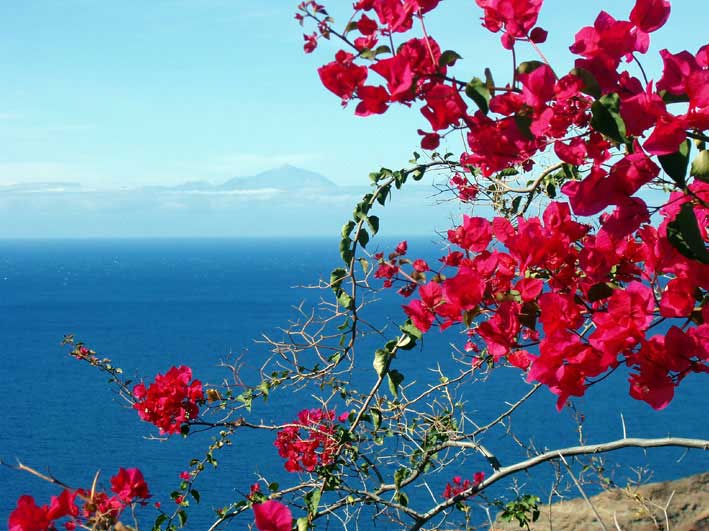 Teide